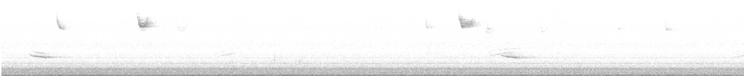 White-throated Sparrow - ML611266042
