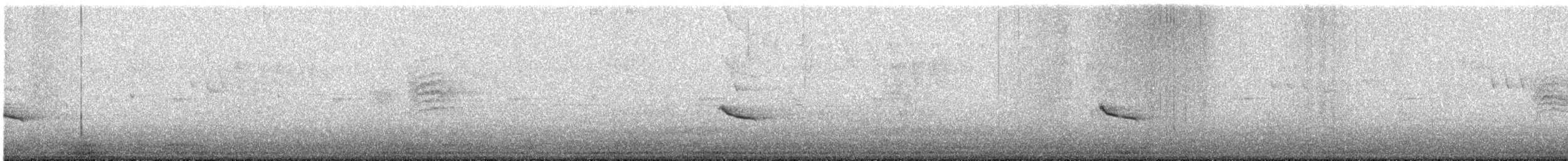 Дрізд-короткодзьоб плямистоволий - ML611266926