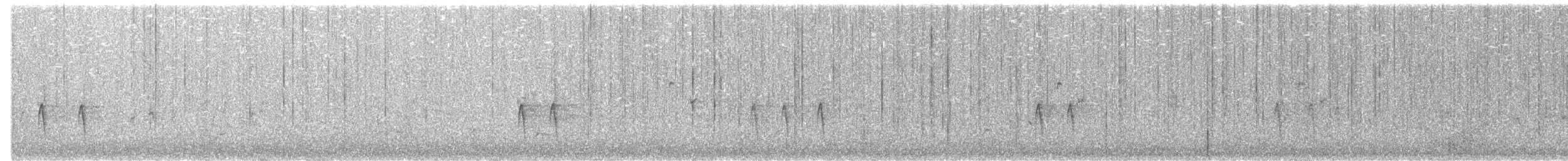 Bec-croisé des sapins (type 12) - ML611268772