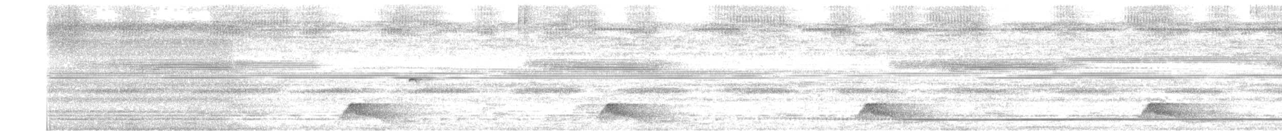 Pauraquenachtschwalbe - ML611270221