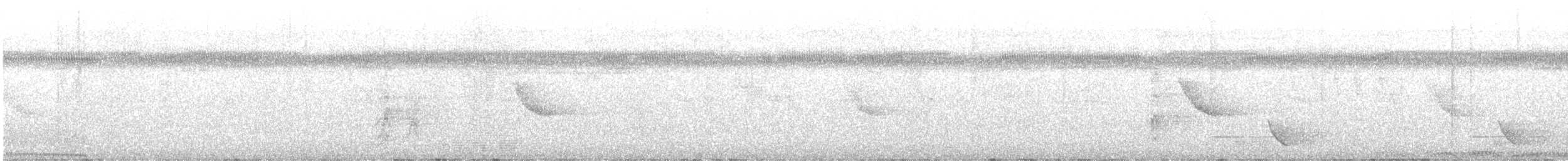 Бронзовый плодовый голубь (oenothorax) - ML611278399
