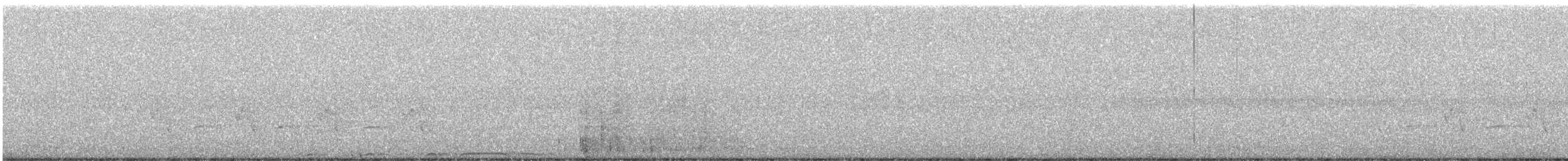 Chouette rayée - ML611286548