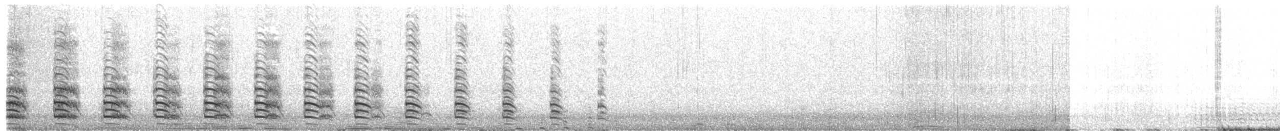 chaluha subantarktická - ML611286860
