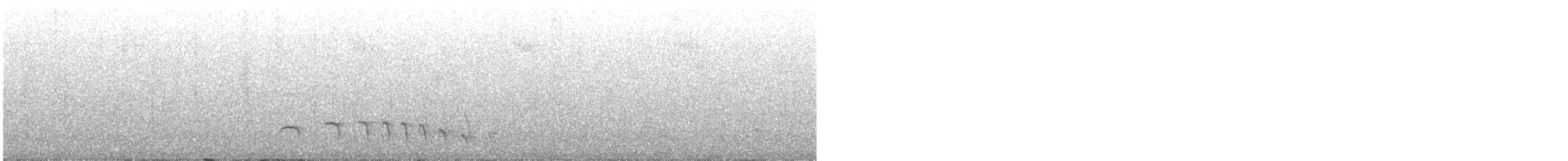 Rufous-margined Antwren - ML611286908