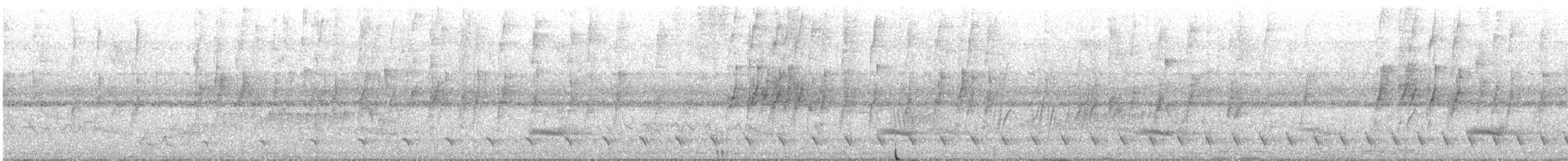 Weißbrust-Ameisenwürger - ML611294421