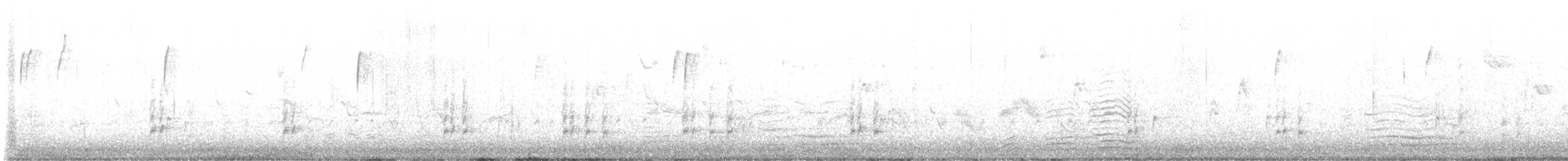Поплітник каролінський - ML611294938