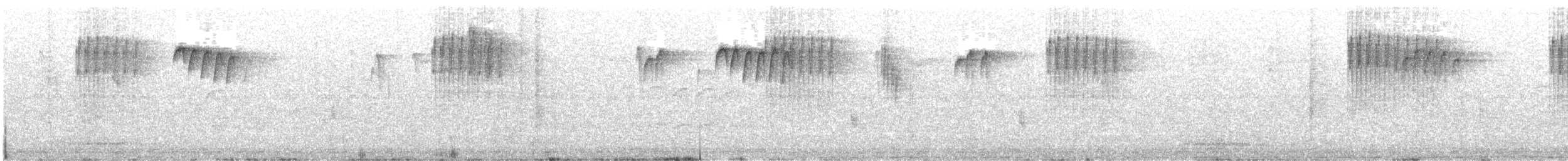 Sıvacı (sinensis/formosana) - ML611303986