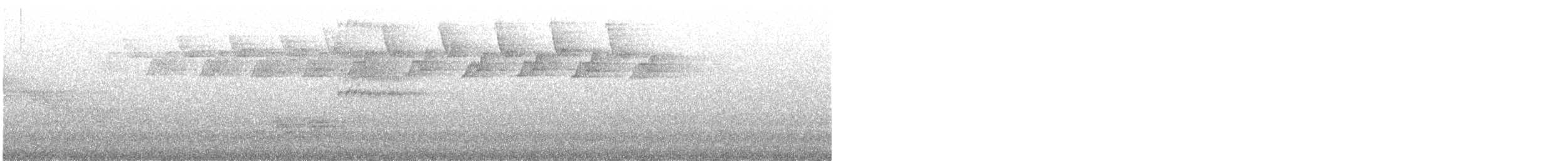 lesňáček černobílý - ML611305318