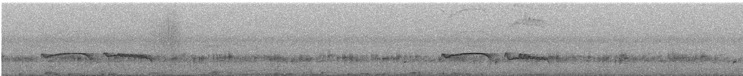 Höhennachtschwalbe [ruwenzorii-Gruppe] - ML611306197