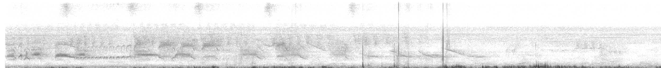 Copetón de Swainson - ML611307728