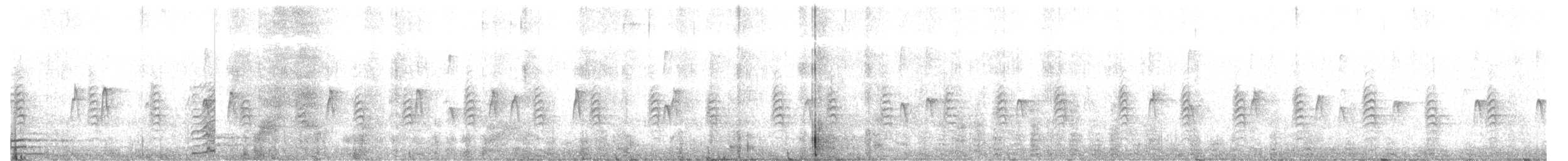 Trepador sp. - ML611309597