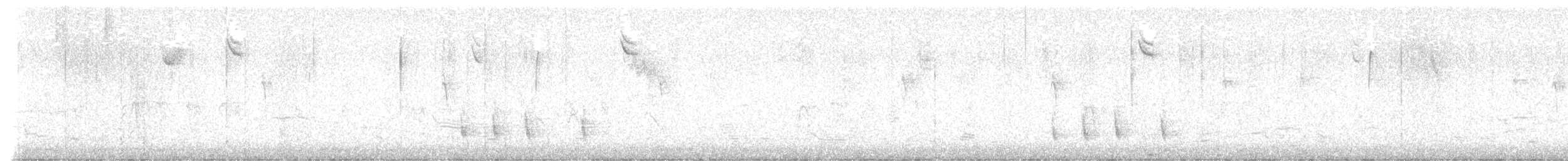 Дрізд-короткодзьоб плямистоволий (підвид faxoni/crymophilus) - ML611311888