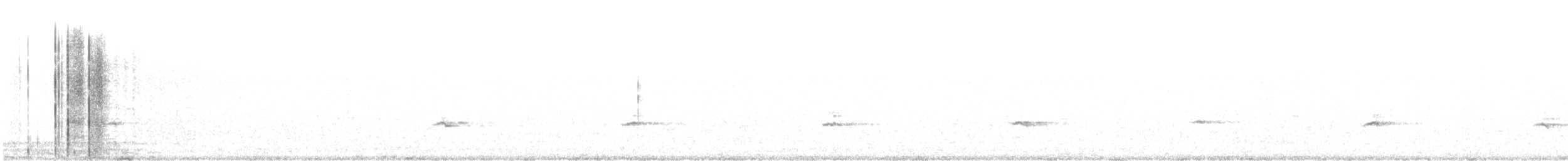 gråsolitærtrost - ML611315328