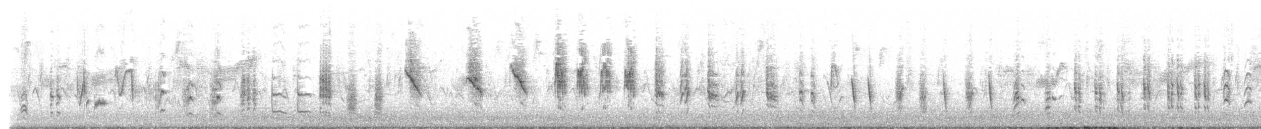 Rousserolle effarvatte (groupe baeticatus) - ML611317990