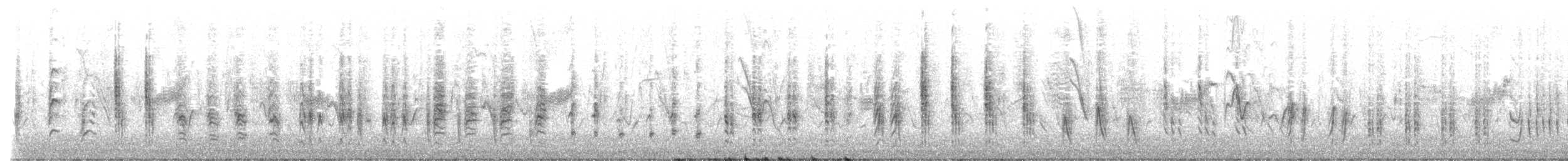 Rousserolle effarvatte (groupe baeticatus) - ML611317991