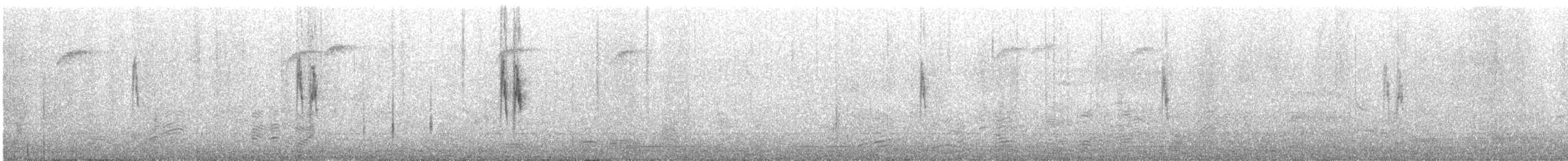White Wagtail (British) - ML611320928
