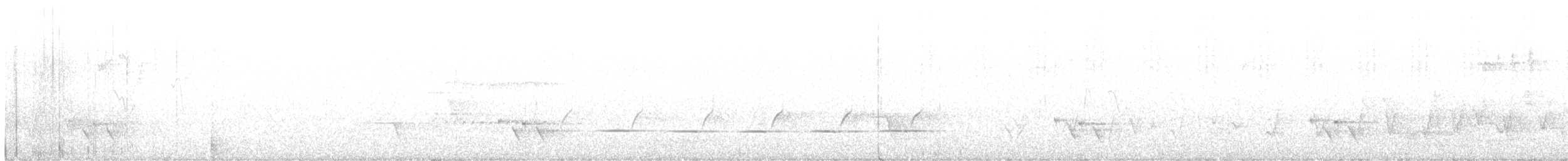 Spotted Quail-thrush - ML611321827