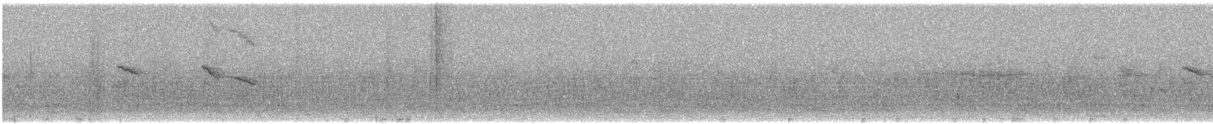 Колібрі-шаблекрил юкатанський (підвид curvipennis) - ML611326177