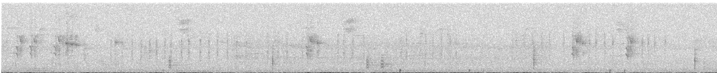 Колібрі-шаблекрил юкатанський (підвид curvipennis) - ML611326179