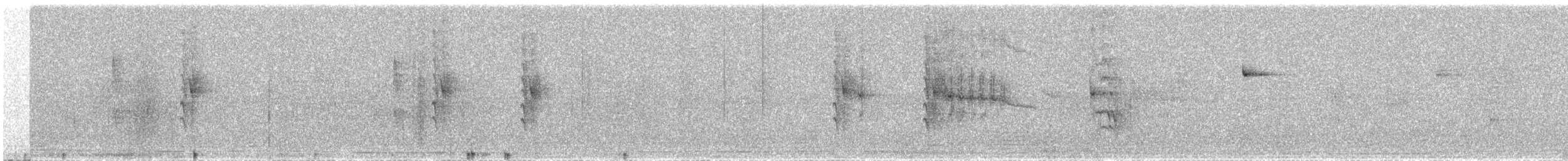 Колібрі-шаблекрил юкатанський (підвид curvipennis) - ML611326184