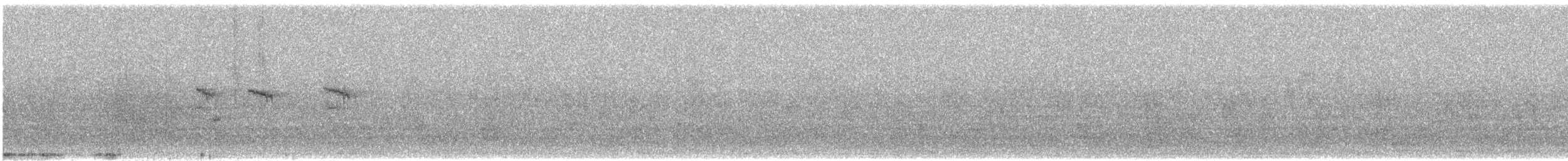 Колібрі-шаблекрил юкатанський (підвид curvipennis) - ML611326186