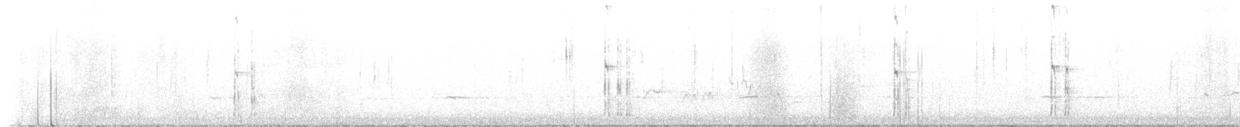 White-headed Woodpecker - ML611329626