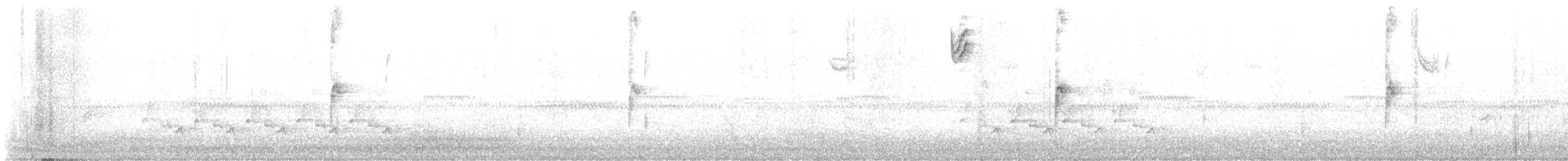 Каролинский крапивник - ML611339766