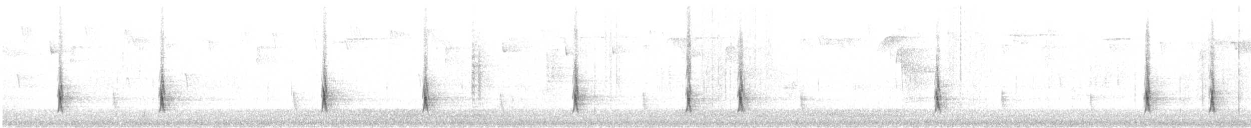 Дрізд-короткодзьоб плямистоволий (підвид faxoni/crymophilus) - ML611340148