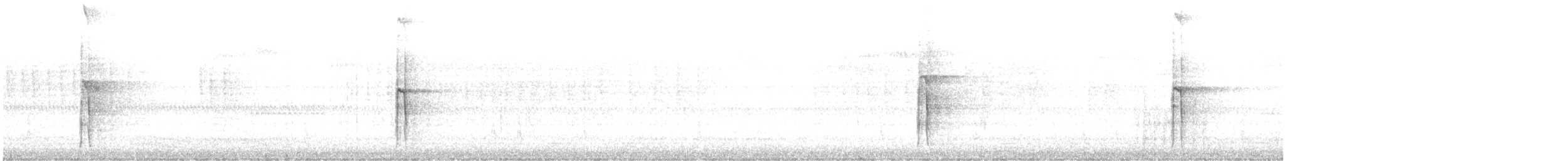 Haarspecht [villosus-Gruppe] - ML611340599