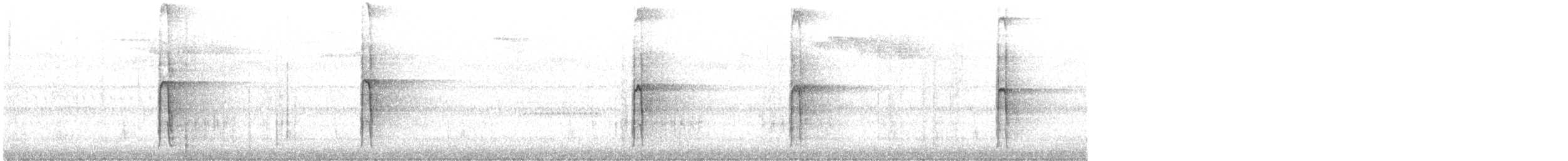 Haarspecht [villosus-Gruppe] - ML611340611