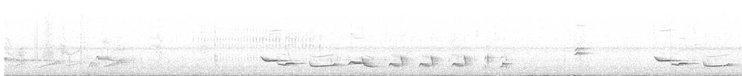 Merle fauve - ML611340854