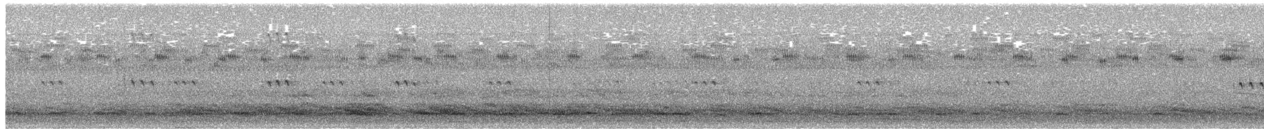 vrána americká - ML611355442