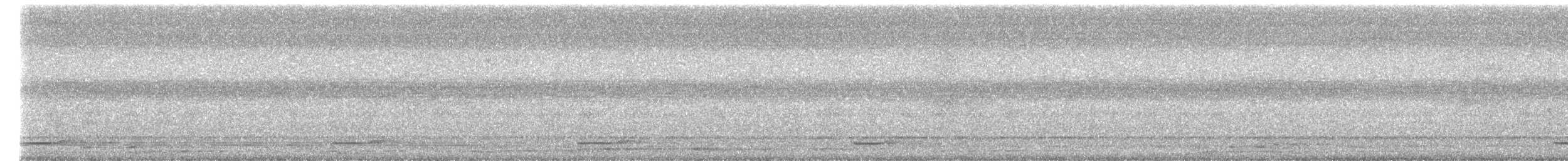 Анаперо-довгокрил бурий (підвид nattereri) - ML611358637