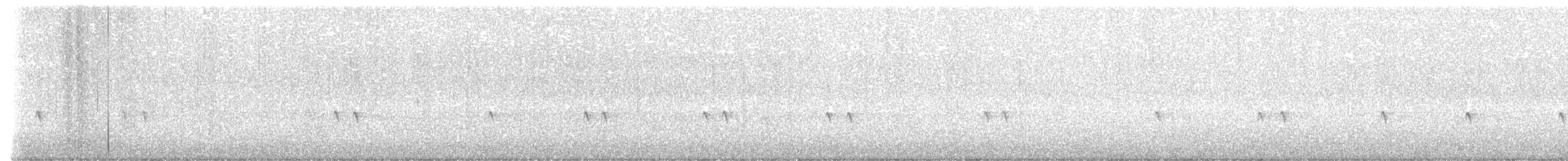 Поплітник каролінський - ML611364395