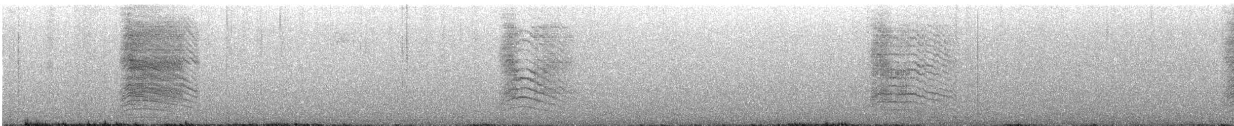 Пересмішник сірий - ML611368157