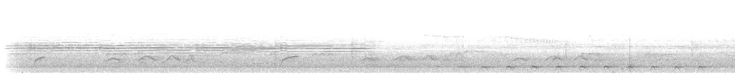 brunkinnskogtrost (swainsoni gr.) - ML611368182