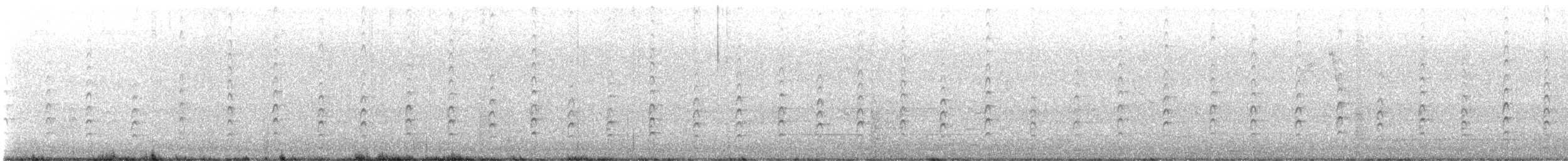 pisila černokrká (ssp. knudseni) - ML611368196