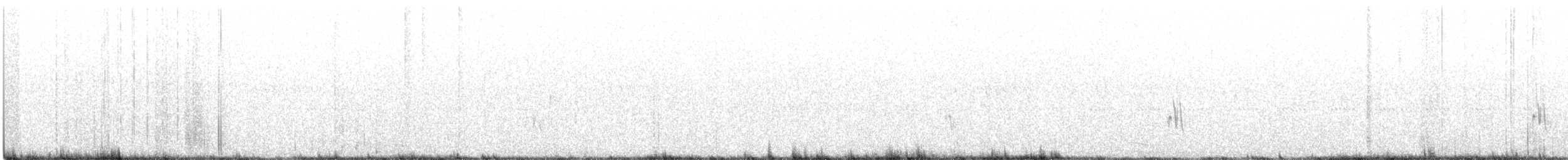 Bourke's Parrot - ML611372845