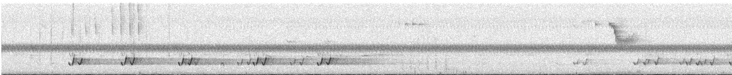 White-eared Honeyeater - ML611373295