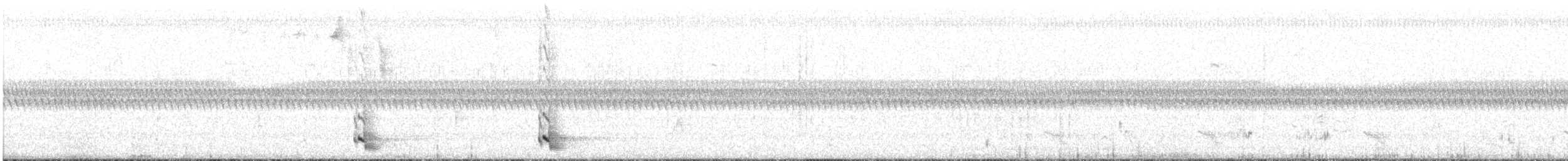 White-eared Honeyeater - ML611373296