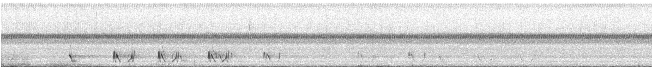 hvitørehonningeter - ML611373299