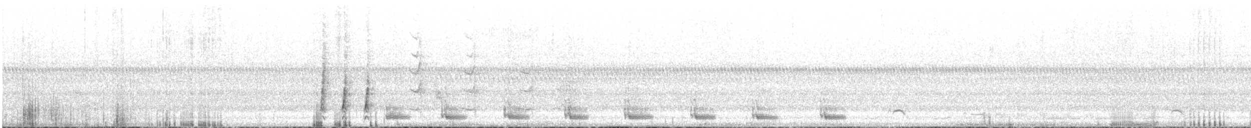 White-eared Honeyeater - ML611373300