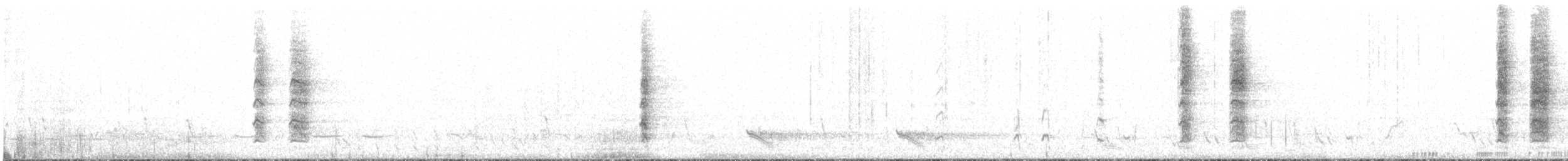 White-eared Honeyeater - ML611376196