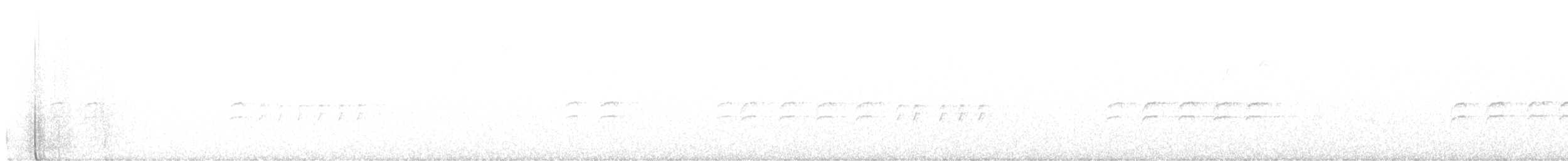 křivka bělokřídlá - ML611379690