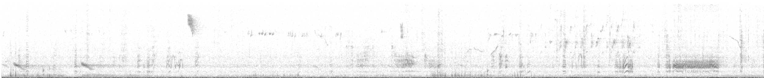White-browed Babbler - ML611380188