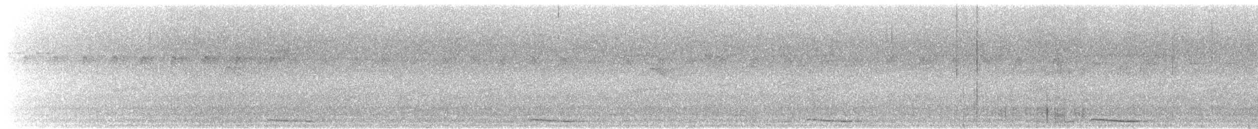 holub panamský - ML611380499