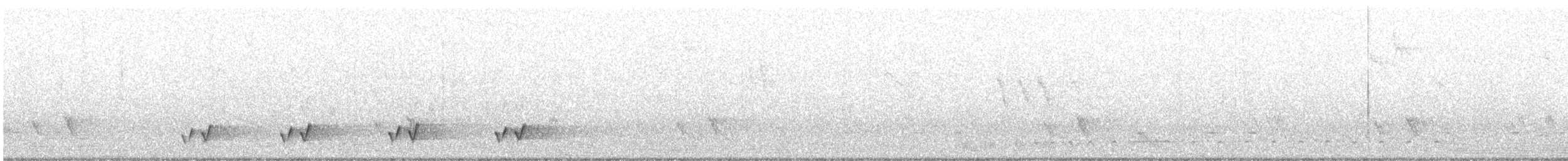 White-eared Honeyeater - ML611380765