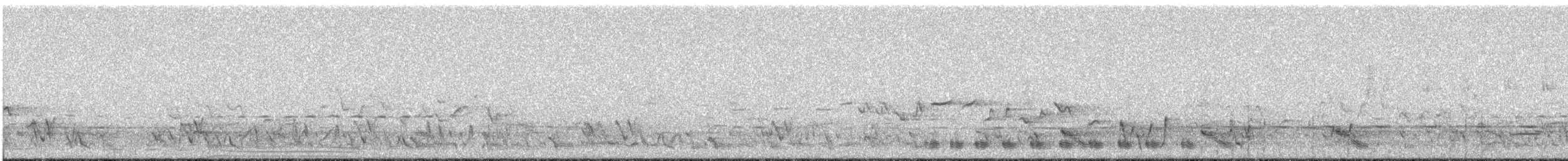 holub bronzovokřídlý - ML611380818