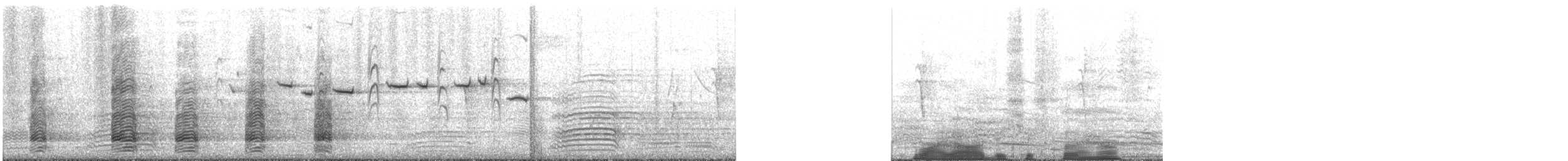 Ібіс молуцький - ML611381535