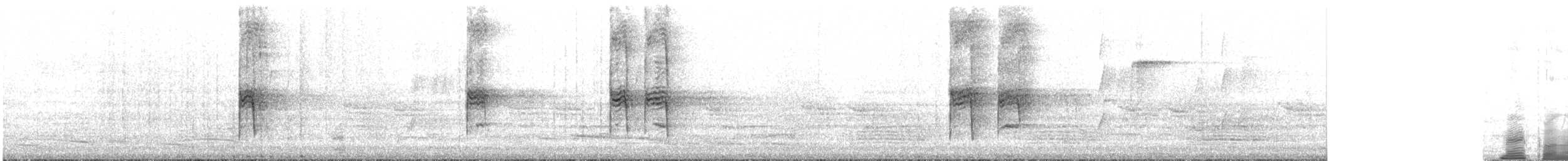 Grallina Australiana - ML611381965